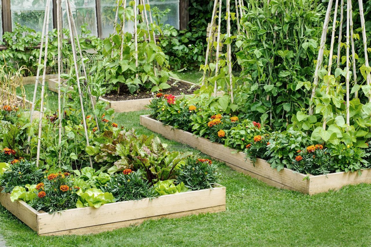 Raised Bed Gardening: Common Planting Pitfalls